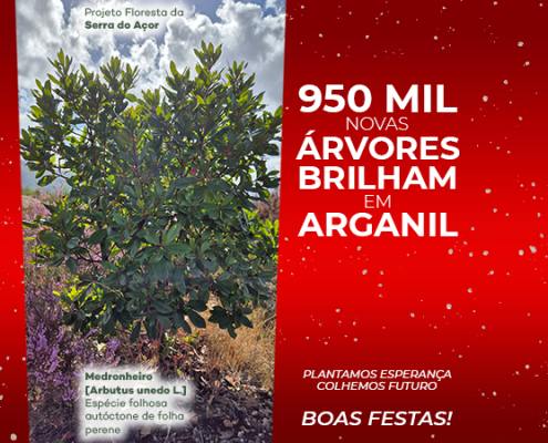 Slider Portal Cm Arganil Postal De Natal Cmarganil 2024