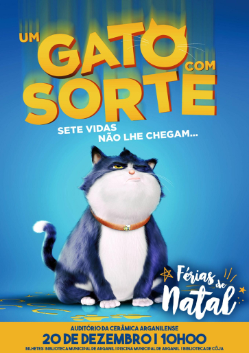 Um Gato Com Sorte